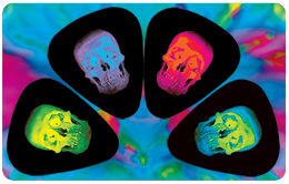 COLOR SKULLS
